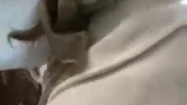 Занятия в школе в Потеряевке. 2013 смотреть онлайн