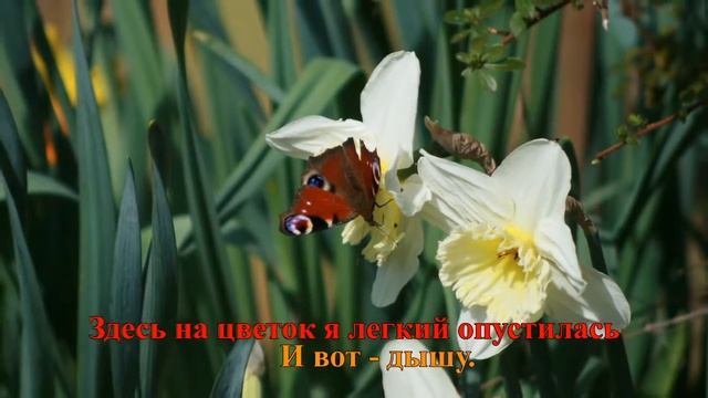"Бабочка" Коренблит. Караоке. Проект "Экология русского языка. Синтез слова и музыки" для инофонов смотреть онлайн