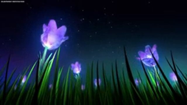 Самая красивая мелодия на свете!Эту музыку можно слушать вечно!Спокойная Музыка Для Снятия Стресса