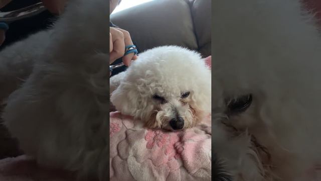 머리 미용하는 이우주.. смотреть онлайн