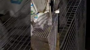 ПОШАГОВАЯ ИНСТРУКЦИЯ КЛЕТОК#строим клетки кроликам.##Клетки для кроликов из сетки