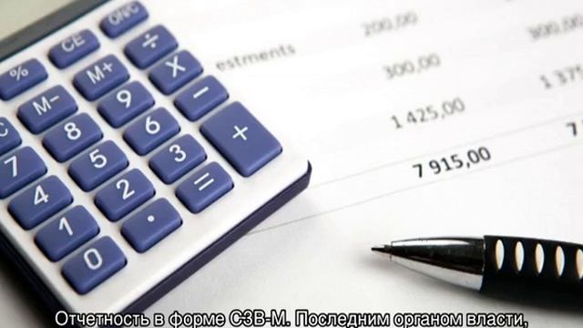 Все о налоговой декларации ЕНВД смотреть онлайн