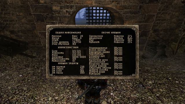 Gothic 2 SnC+MP 2.0 безполезные ищущие смотреть онлайн