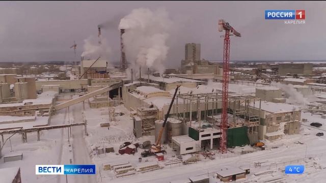 Белый налет на деревьях встревожил жителей Сегежи смотреть онлайн