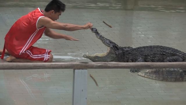 Тайланд! Пхукет! Как ДиКаприо пляж испортил! и Головой в пасть крокодилу!