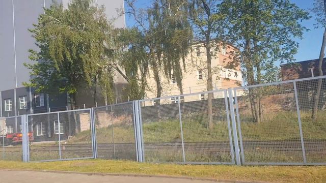 Неизвестный зверь обнаружен в Польше. Unknown beast discovered in Poland. смотреть онлайн