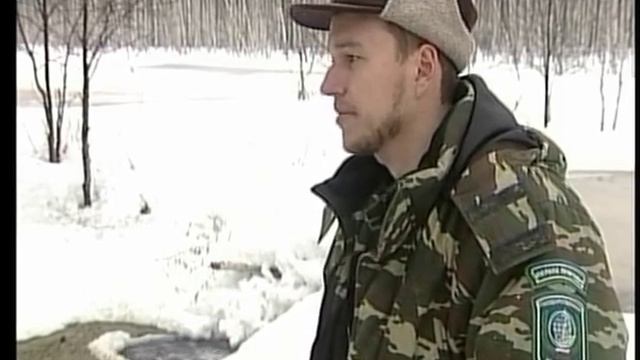 аллигаторы спасут заповедники от бобров! смотреть онлайн