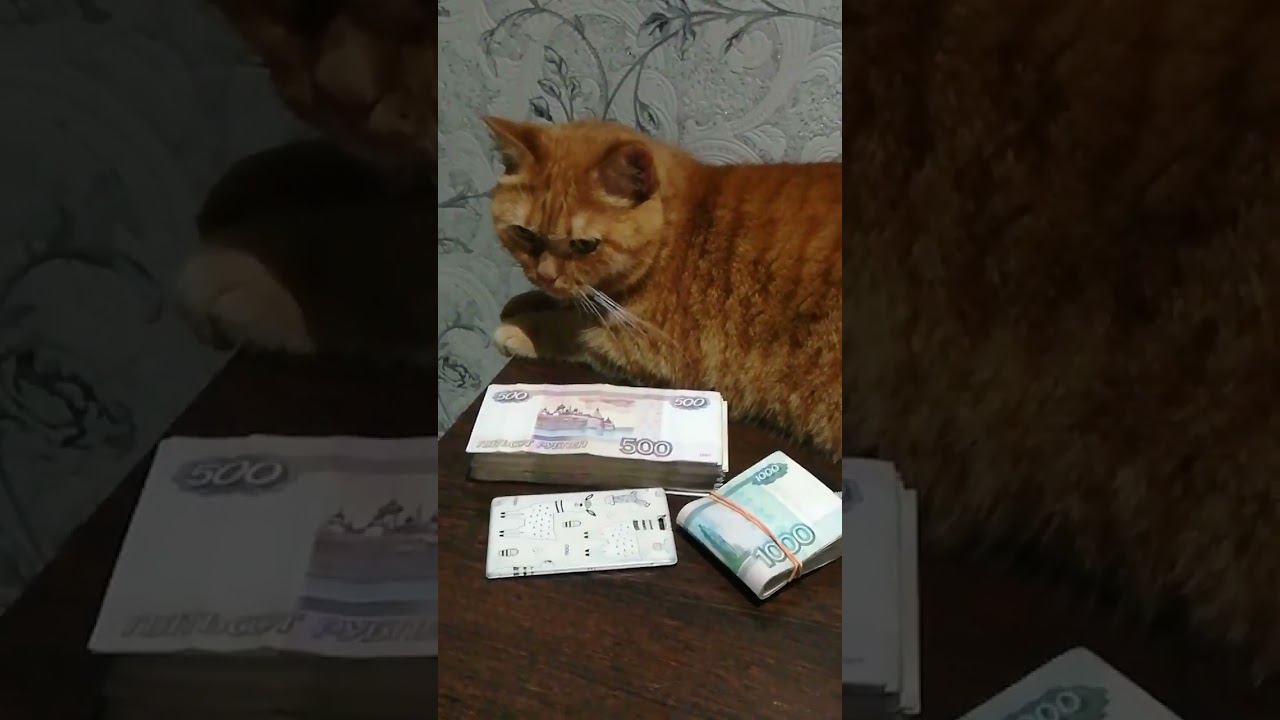 15 октября 2023 г.