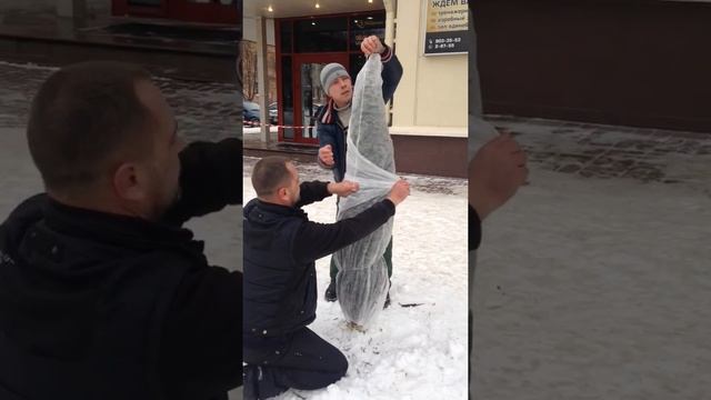 Как укрыть хвойные растения на зиму смотреть онлайн