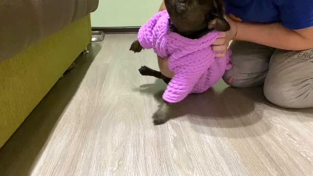 МАСЯ в КОКОНЕ - ей понравился подарок от АЛЁНЫ, будет спать в нём смотреть онлайн