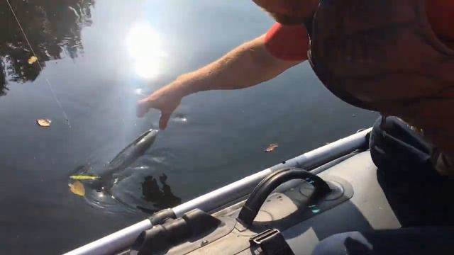 Поймала щуку больше чем у мужа/Селигер октябрь 2020 смотреть онлайн