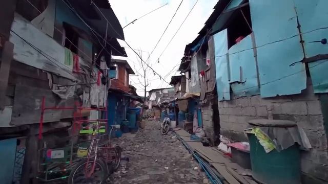 В этих трущобах происходит настоящая дичь... смотреть онлайн