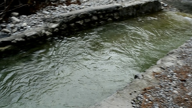 DSC_4379 смотреть онлайн