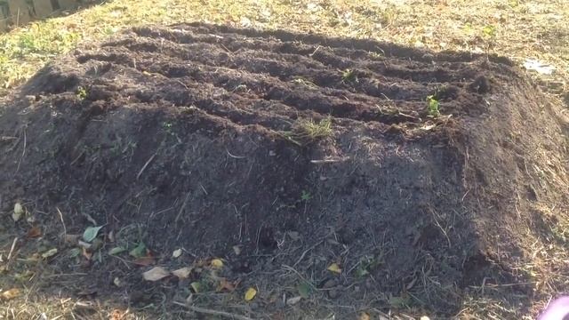 Дубовая роща/Начало смотреть онлайн