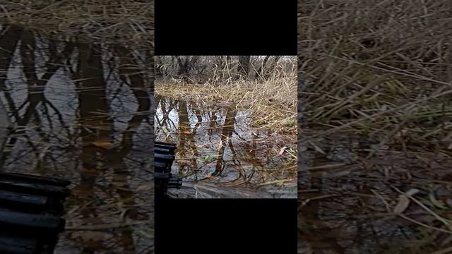 V_20221126_133928.mp4 смотреть онлайн