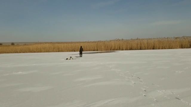 рыбачим по местному, как клюёт в -15?