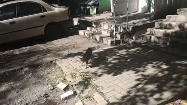 Рассуждения 2 -- 15 10 2021 смотреть онлайн