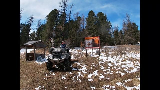 подъём на ороктойский перевал в мае, цветение маральника 2 смотреть онлайн