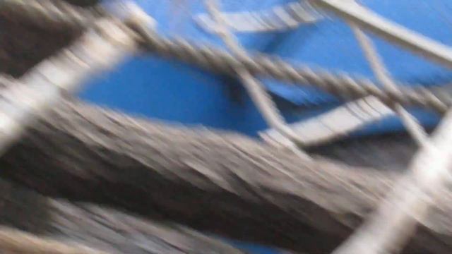 Шимпанзе Филя и Люся на улице скучают 19.08.2019 смотреть онлайн