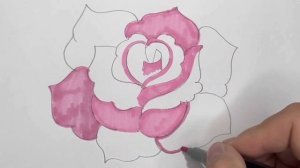 Как нарисовать розу