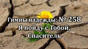 Гимны Надежды № 258 «Я пойду с Тобой, Спаситель» | Караоке с голосом | Христианские песни |Песни АСД