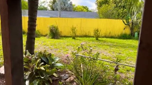 Солим КАПУСТУ по моему РЕЦЕПТУ смотреть онлайн