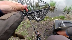 Xesta Light game Black star Solid 2nd generation S511-S и конопатая