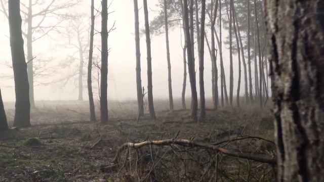 Как делать то, что хочешь? Не оправдывайся, ответственность хорошо или плохо? - Сергей Волобуев. смотреть онлайн