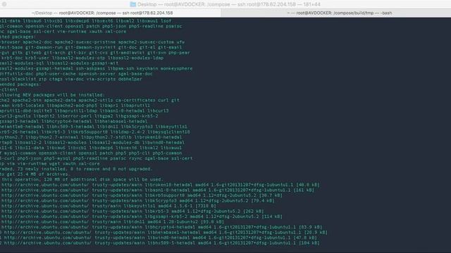 Docker.1.10.0-rc2, Compose 1.6.0-rc2 - Building and loading complete backup смотреть онлайн