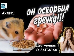 Он оскорбил гречку! Что запасать на БП??.