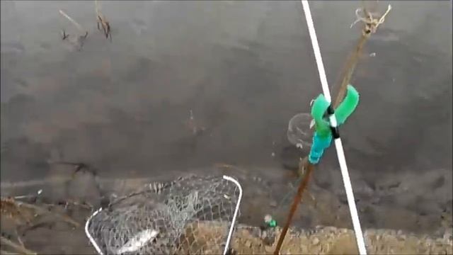 Рыбалка на Суре в Колдаис - Ловля на фидеры"флагман" и спиннинги "крокодилы" смотреть онлайн
