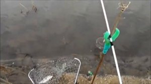 Рыбалка на Суре в Колдаис - Ловля на фидеры"флагман" и спиннинги "крокодилы"