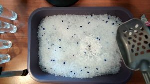 Силикагелевый наполнитель для кошек. В чём разница? Бывает ли без пыли?