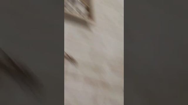 Обзор на новогодние украшения в нащем доме, + обзор на новогоднюю ёлку смотреть онлайн