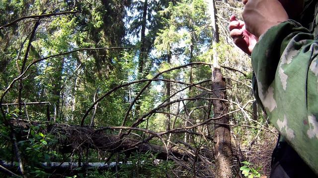 ДанМои, варган, видео из запасов смотреть онлайн