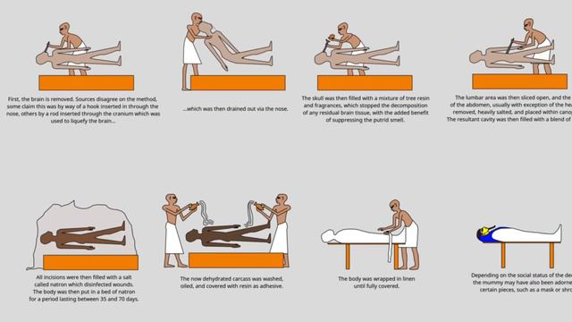 मिस्र की ममी | Egyptian Mummy | Albert hall museum | Jaipur Rajasthan | egypt mummy | misr ki Mummy смотреть онлайн