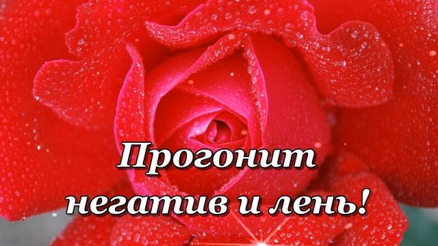 С Добрым утром! Ты Проснись! Дню, что будет, улыбнись! ??? смотреть онлайн