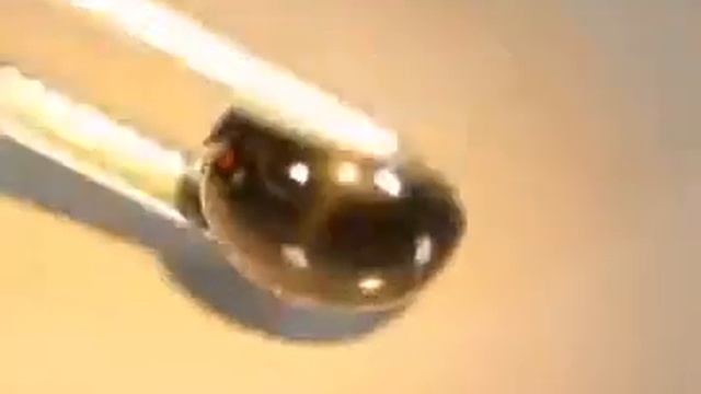 Камень звездчатый Диопсид натуральный 3.89 карат! Артикул: 22241 цена 1560 руб смотреть онлайн