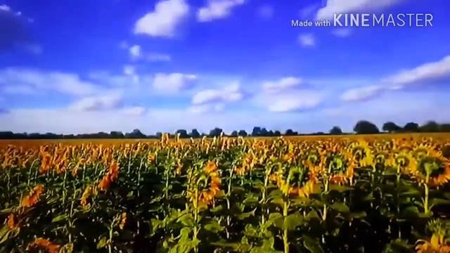стихи Татьяны Переделкиной....Упаду где трава по колено... смотреть онлайн