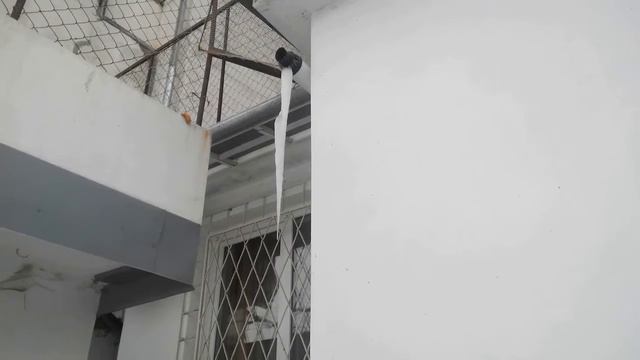 полигон роз красных смотреть онлайн