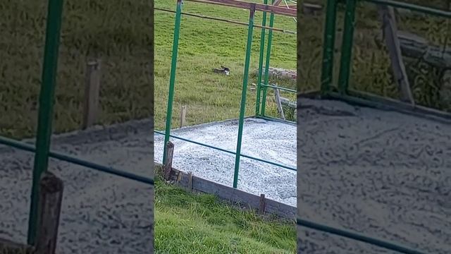 Отдыхали на Саватьевских прудах в Твери.