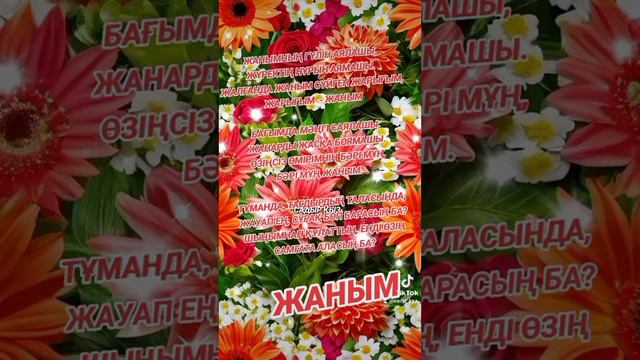 "ЖАНЫМ". РОЗА ӘЛҚОЖА смотреть онлайн