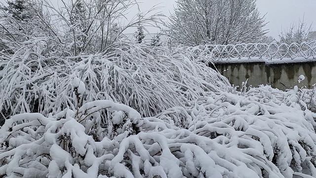 СНЕГ !!! 4К смотреть онлайн