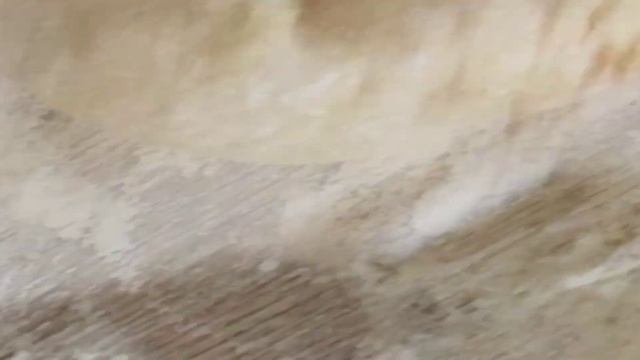 Zeamă Moldovenească! Rețeta Succesului.ЗАМА Молдавская @cevabun_