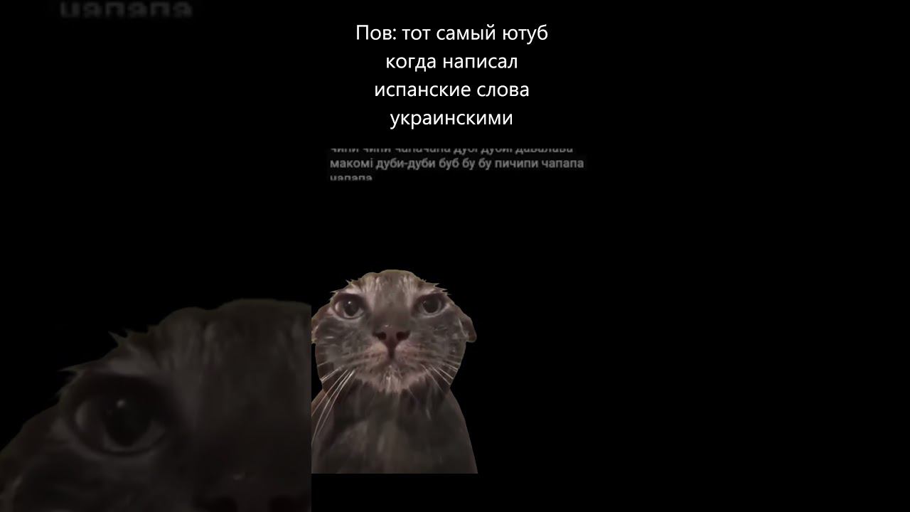 Пов: тот самый ютуб когда написал испанские слова украинскими #shorts #ютуб #мем смотреть онлайн