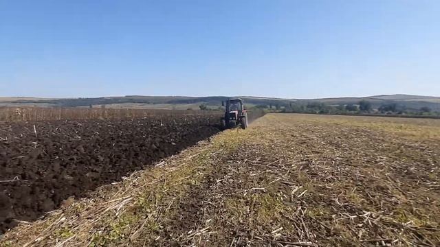 вспашка подсолнуха смотреть онлайн
