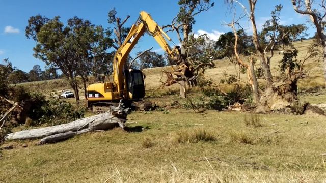 Excavator Clearing tree смотреть онлайн