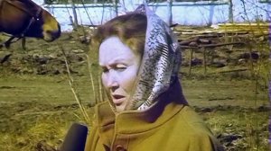 1989 год. Тюменский район. Совхоз Червишевский. Почему дорожает молоко.