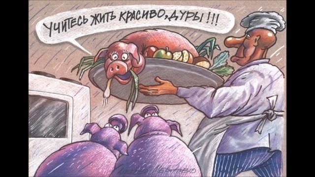 про свиней часть 1 с юмором и позитивом.весёлые картинки и карикатуры смотреть онлайн