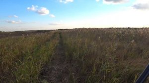 Охота на Фазана